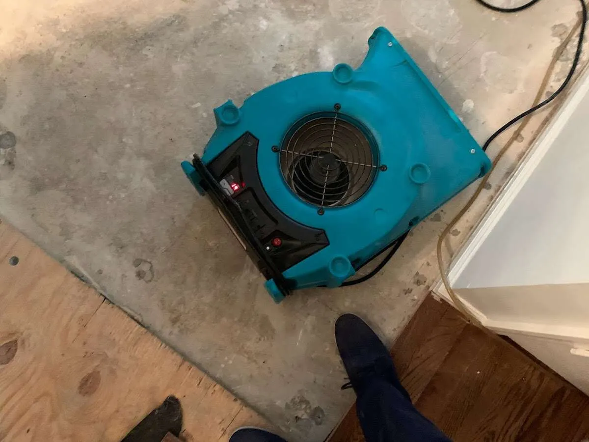 Air mover drying subfloor during Commercial Water Damage Restoration in Riverdale Park